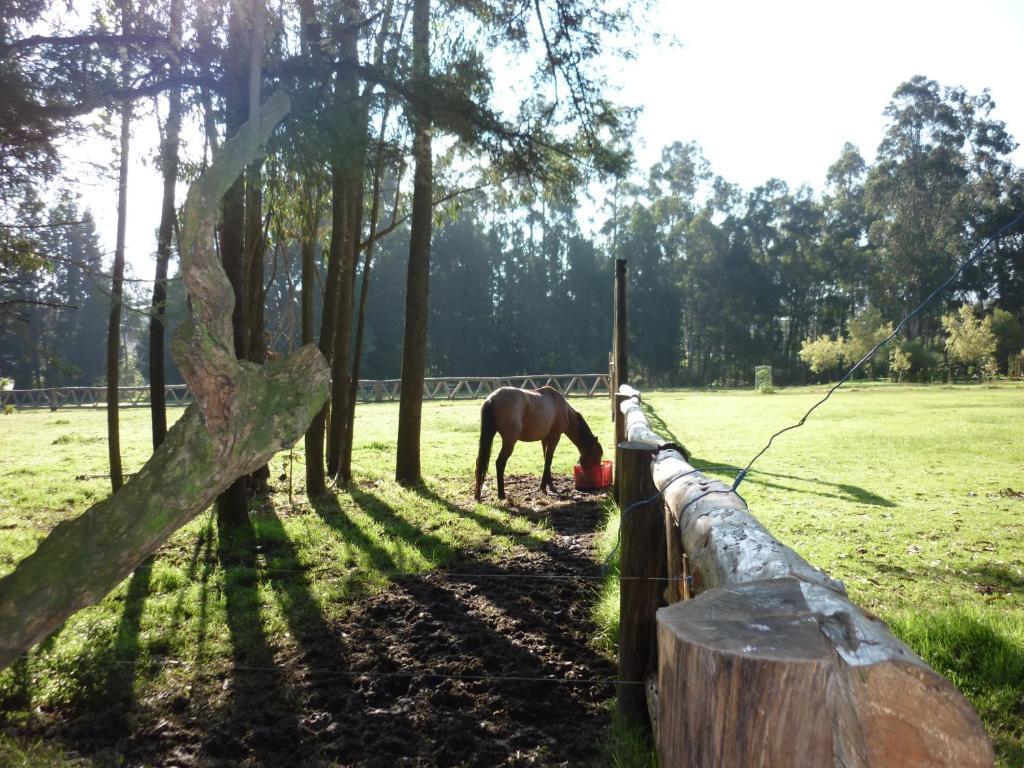 Hacienda La Carriona Hotel Sangolquí Kültér fotó